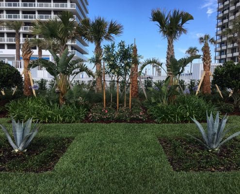 Commercial Landscaping for the Orlando, Florida Area by BLG Environmental Services