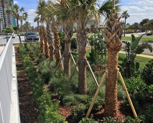 Commercial Landscaping for the Orlando, Florida Area by BLG Environmental Services