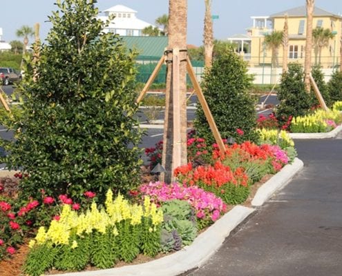 Commercial Landscaping for the Orlando, Florida Area by BLG Environmental Services