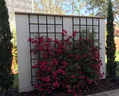 Residential Landscape Design in Orlando, Florida by BLG Environmental Services