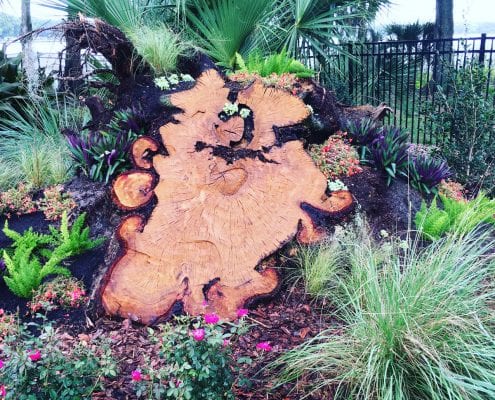 Residential Landscape Design in Orlando, Florida by BLG Environmental Services