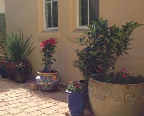 BLG Environmental Services – Patio Design Landscaping in Orlando, Florida