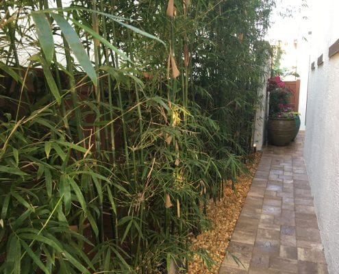 BLG Environmental Services – Patio Design Landscaping in Orlando, Florida