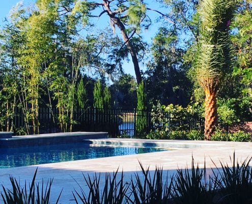 BLG Environmental Services - Pool Landscaping for the Orlando, Florida Area