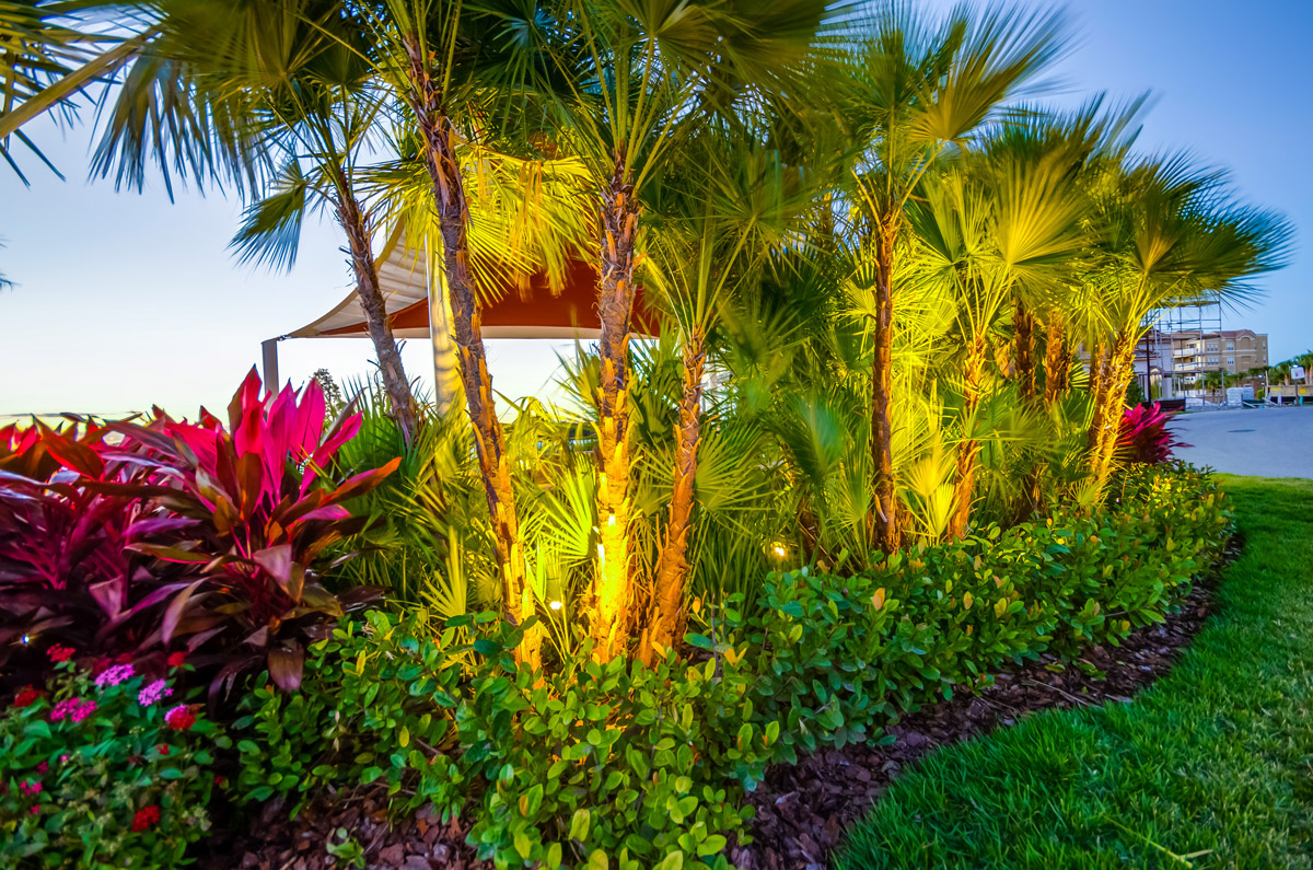 Residential Lighting Landscape LED Lighting Installation for Orlando