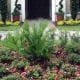 For A Residential Landscape Designer in Orlando, Florida Call BLG Environmental Services