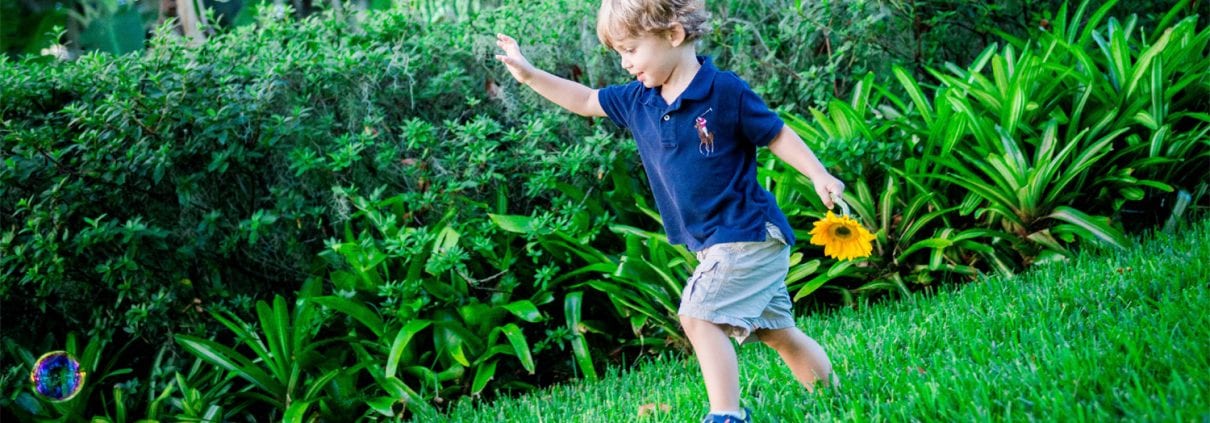 Why you should hire a professional landscaper designer in Orlando, Florida
