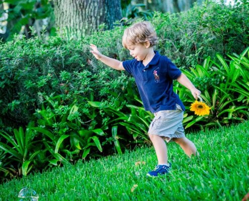 Why you should hire a professional landscaper designer in Orlando, Florida