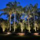 Backyard Design Ideas in Orlando, Florida by BLG Environmental Services