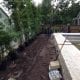 Bamboo Trees for a New Construction Landscape Design and Installation Project in Orlando, Florida