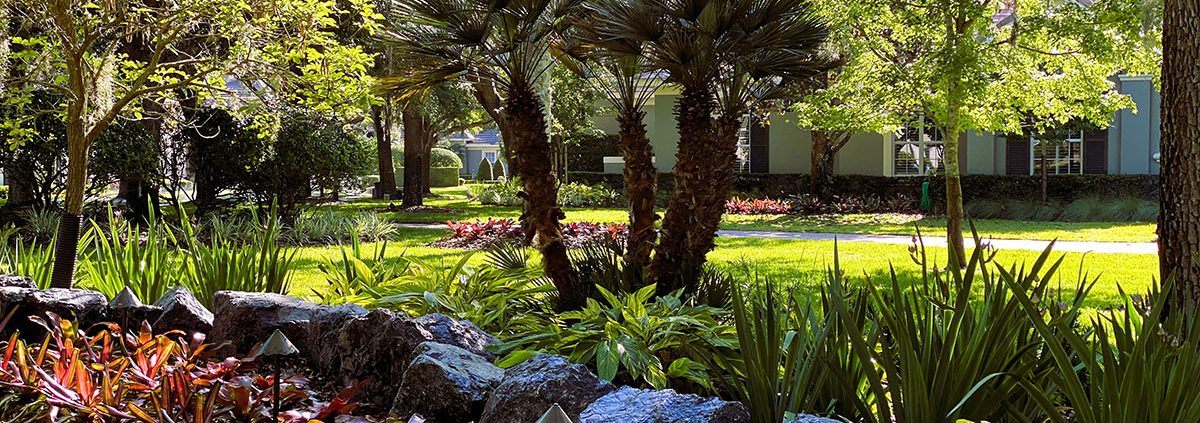 Beautiful Florida Landscape Designs in Heathrow FL by BLG Environmental Services