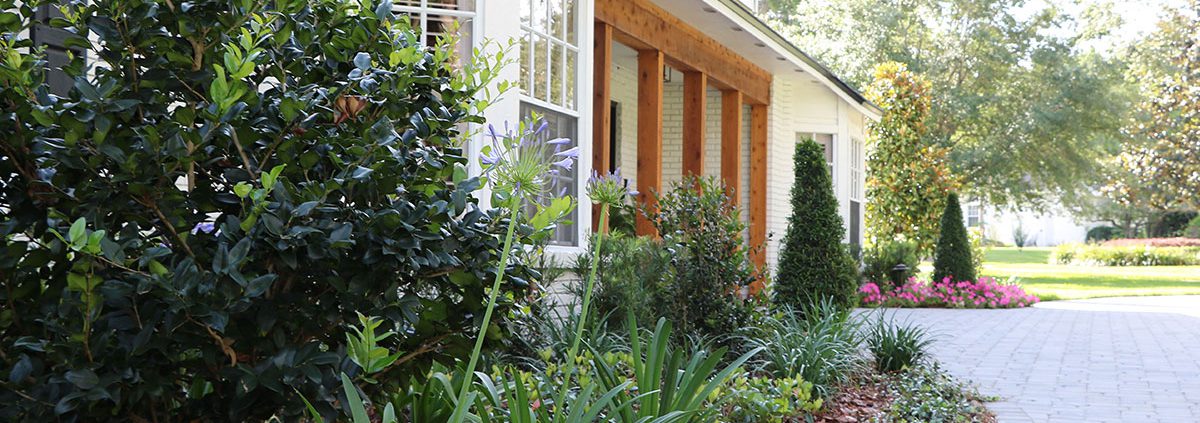 BLG Environmental Services - The Best Orlando Landscaping Company in Central Florida