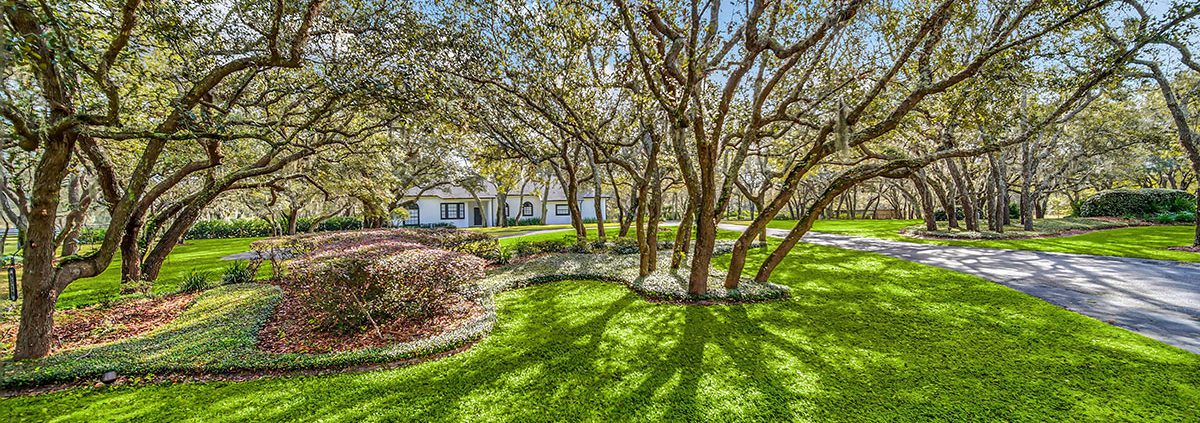 The best Central Florida landscape design tips that actually work: real strategies for beautiful, durable outdoor spaces by BLG Environmental Services