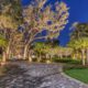 Legacy Oaks in your Orlando Florida Residential Landscape Design by BLG Environmental Services
