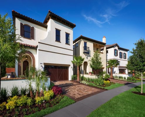Orlando Landscape Design by BLG Environmental Services