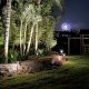 Top-Rated Backyard Design Ideas in Orlando Florida by BLG Environmental Services