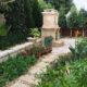Backyard design for an Orlando estate home featuring a structured patio layout, stone fire feature, and layered landscape planting