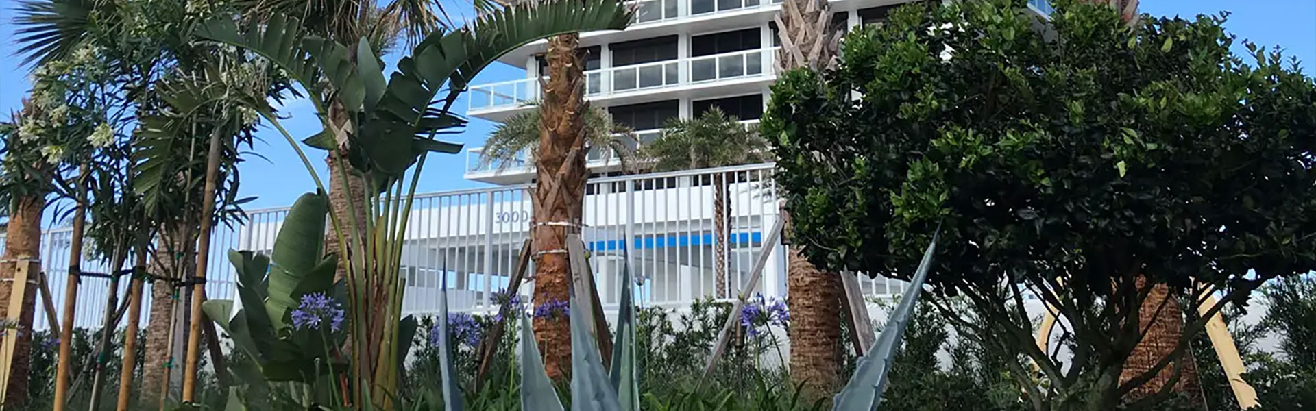 Commercial Landscaping for the Orlando, Florida Area by BLG Environmental Services