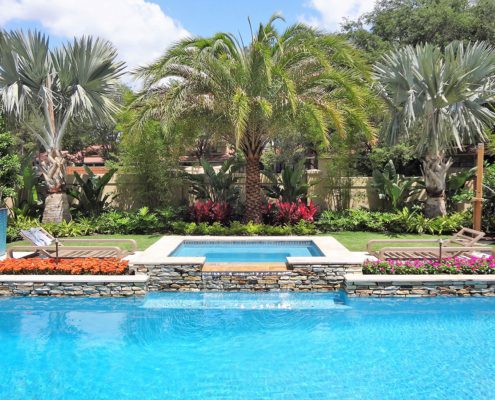 Luxury backyard pool with tropical palm landscaping and coordinated outdoor design in Orlando Florida