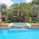 Luxury backyard pool with tropical palm landscaping and coordinated outdoor design in Orlando Florida