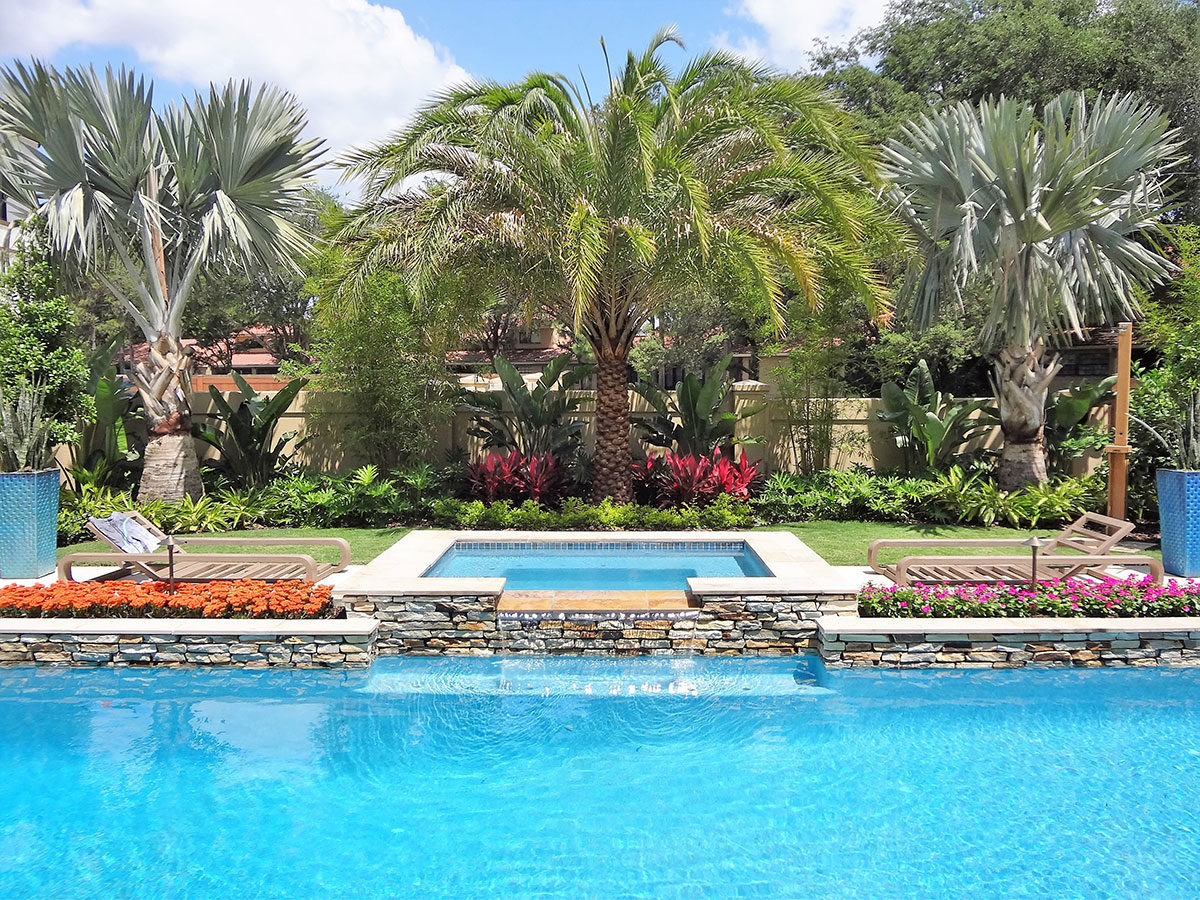 Luxury backyard pool with tropical palm landscaping and coordinated outdoor design in Orlando Florida Luxury backyard pool with tropical palm landscaping and coordinated outdoor design in Orlando Florida