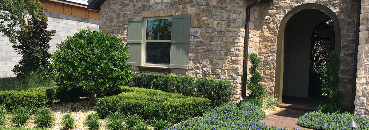 Front yard landscape design in Orlando, Florida featuring manicured hedges, ornamental trees, blue flowering groundcover, and a paver walkway leading to a stone-faced home.